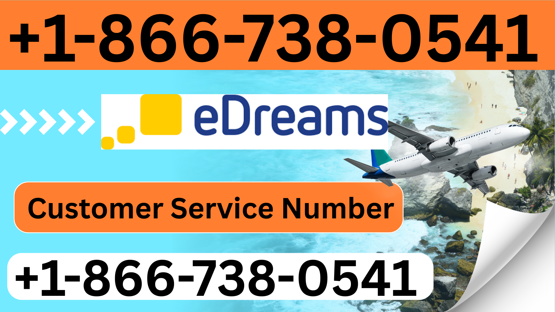 Missed an Spirit Airlines Flight FAQs and Step by Step Policy Guide — Virginia Zoo